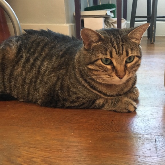 Meet your Posher, Lydia - Picture 1 of 1